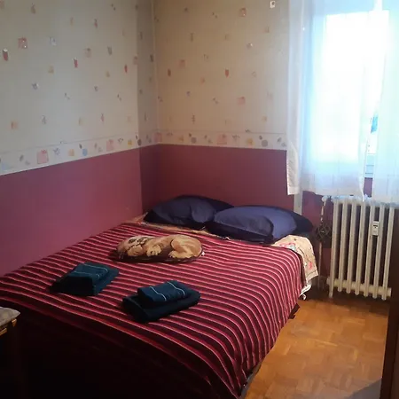 Grenoble - Apartment